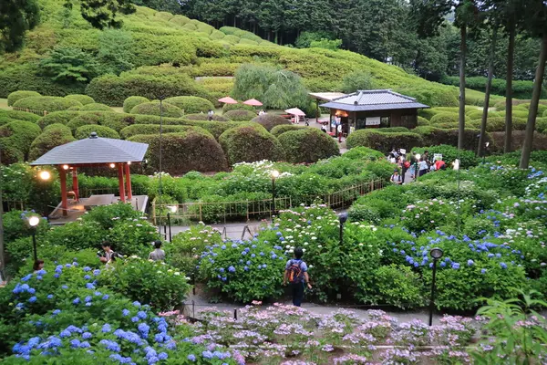 三室戸寺の写真・動画_image_142991
