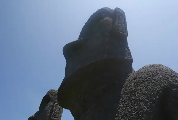 サンメッセ日南の写真・動画_image_143033