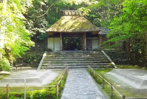 日の出うどんの写真・動画_image_143038