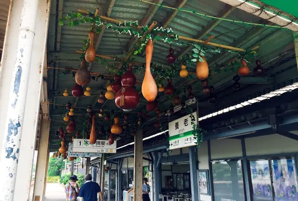 養老天命反転地の写真・動画_image_143072