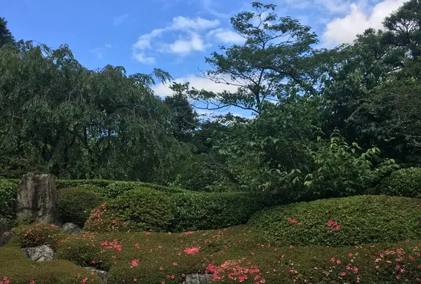 明月院（あじさい寺）の写真・動画_image_143178