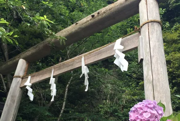 銭洗弁財天 宇賀福神社の写真・動画_image_143202