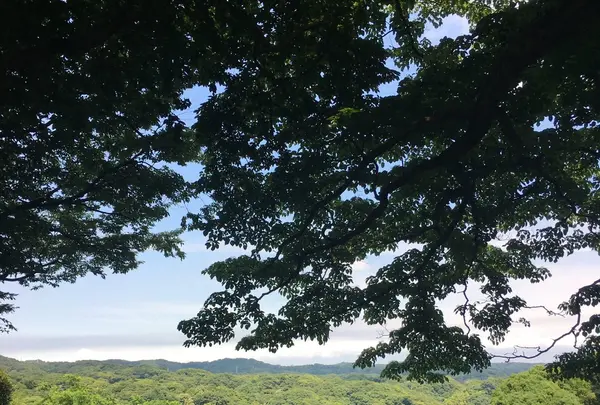 葛原岡神社の写真・動画_image_143342