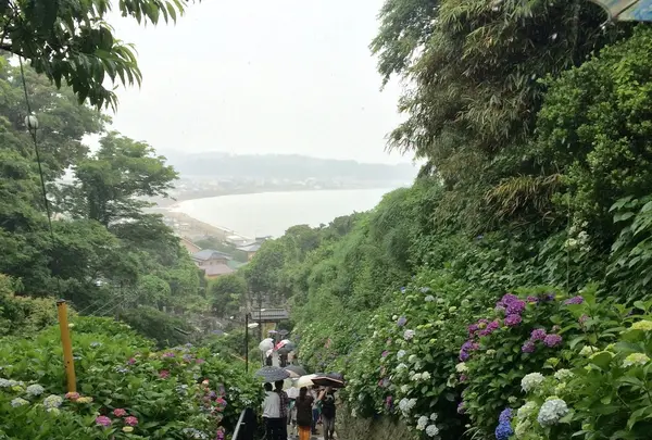 成就院の写真・動画_image_143746