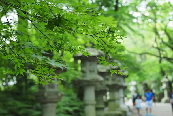 香取神宮の写真・動画_image_143874