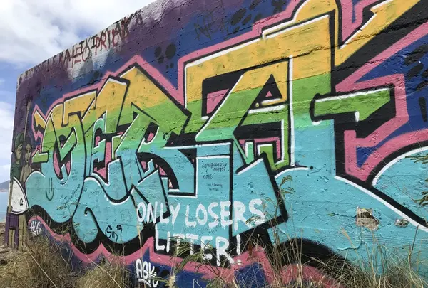 Pillbox Hikeの写真・動画_image_143908