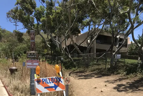 Pillbox Hikeの写真・動画_image_143909