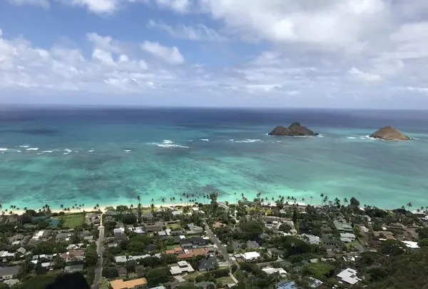 Pillbox Hikeの写真・動画_image_143910