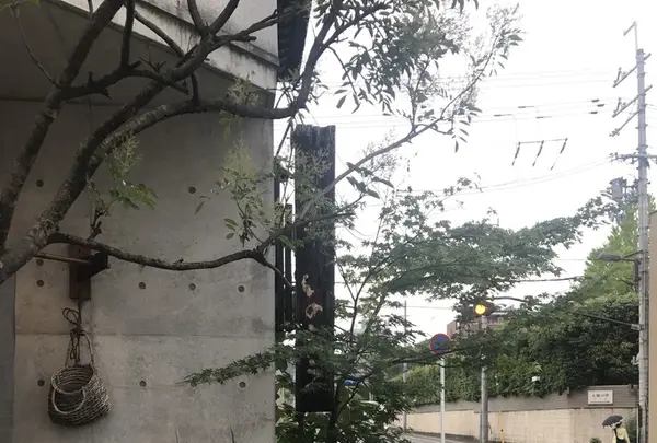 いのうえの写真・動画_image_144035