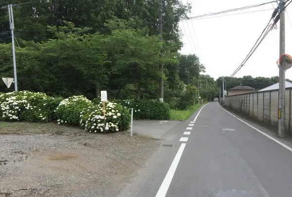 氷室あじさい坂の写真・動画_image_144182