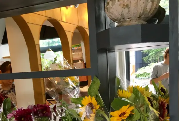 バロン（Ballon） の写真・動画_image_144183