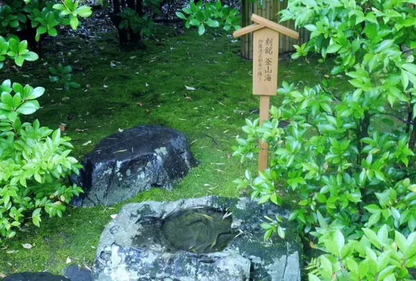 有楽苑の写真・動画_image_144293