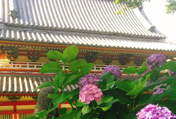 耕三寺・耕三寺博物館の写真・動画_image_144436