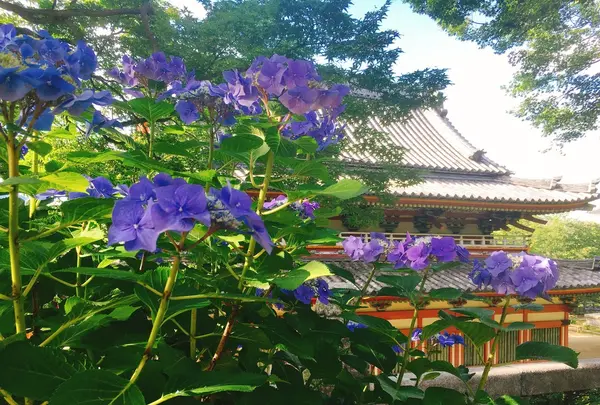 耕三寺・耕三寺博物館の写真・動画_image_144437
