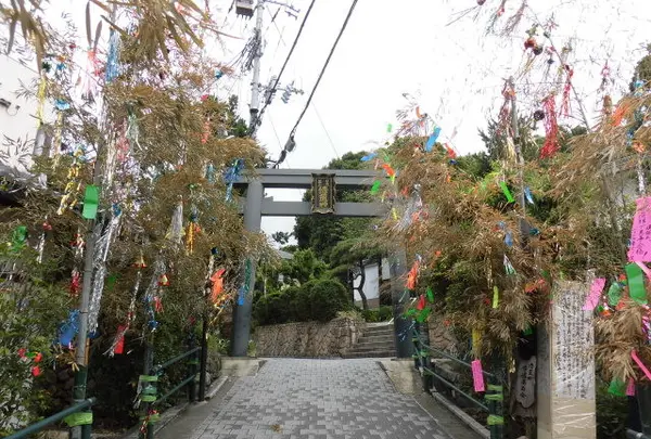 清荒神参道商店会の写真・動画_image_144456