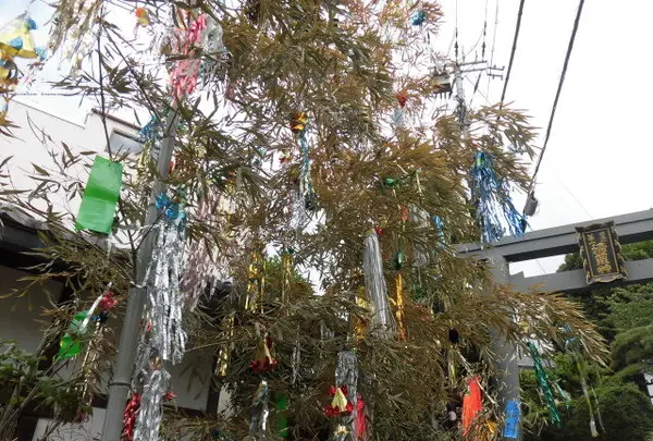 清荒神参道商店会の写真・動画_image_144457