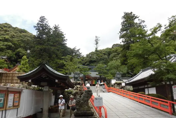 清荒神清澄寺の写真・動画_image_144458