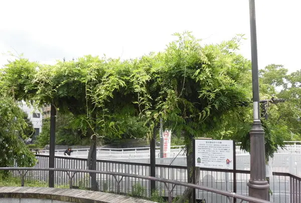 有岡城跡の写真・動画_image_144469