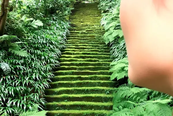 妙法寺（日蓮宗）の写真・動画_image_144496