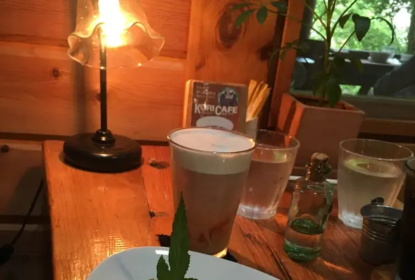 テラスカフェ＆ギャラリー ツリーハウスの写真・動画_image_144507