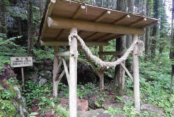 岩村城跡の写真・動画_image_144526