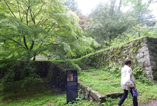 岩村城跡の写真・動画_image_144527