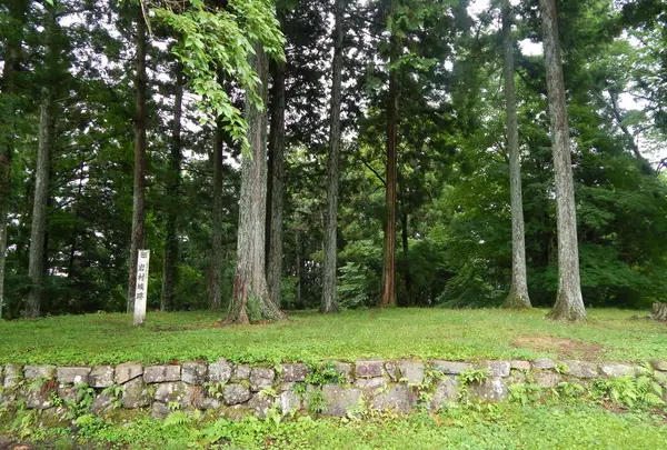 岩村城跡の写真・動画_image_144529