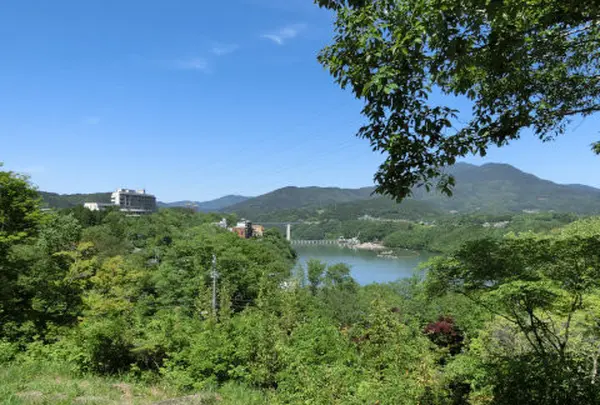 千畳敷岩の写真・動画_image_144648