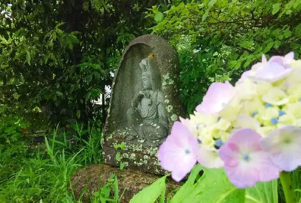 千畳敷岩の写真・動画_image_144649