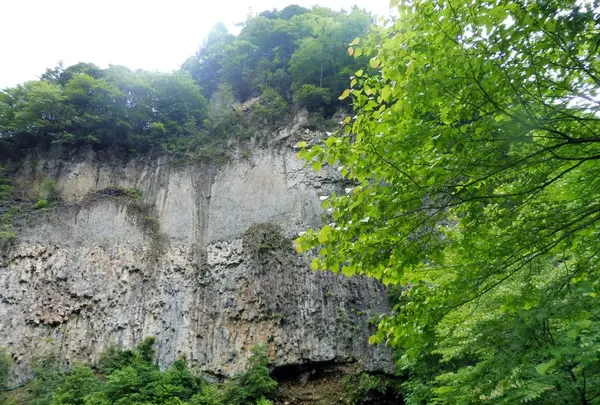巌立峡の写真・動画_image_144680