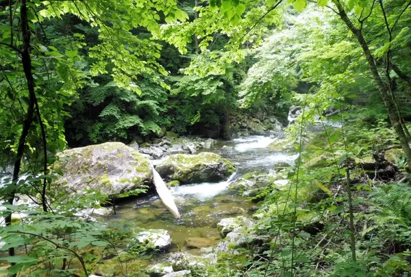 巌立峡の写真・動画_image_144681