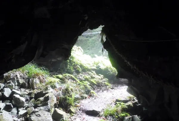 巌立峡の写真・動画_image_144683