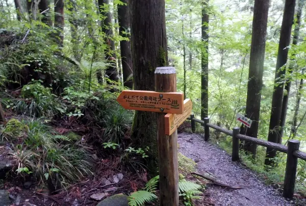 小坂の滝めぐりの写真・動画_image_144687