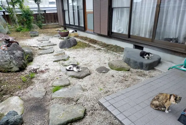 妙雲寺の写真・動画_image_144688