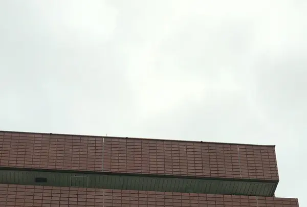 将棋会館の写真・動画_image_144710