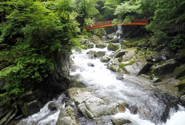 小坂の滝めぐりの写真・動画_image_144726