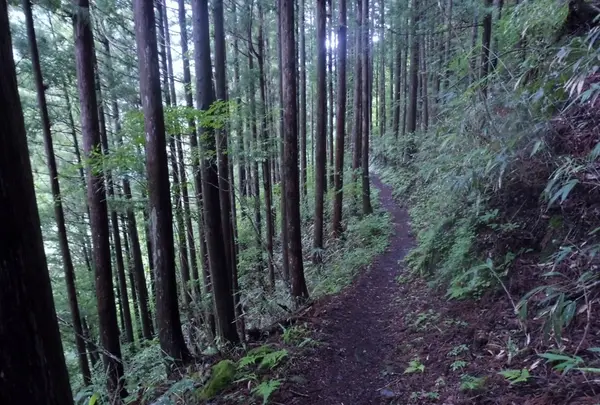 小坂の滝めぐりの写真・動画_image_144810