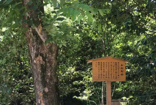 熱田神宮の写真・動画_image_144884