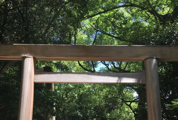 熱田神宮の写真・動画_image_144888