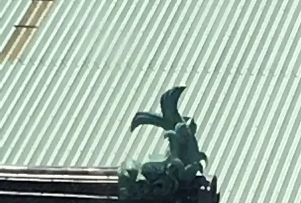 名古屋城の写真・動画_image_144901