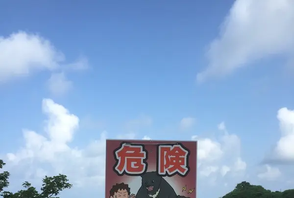 大間越街道の写真・動画_image_144971