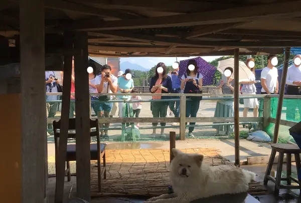 七里長浜 きくや商店の写真・動画_image_144998