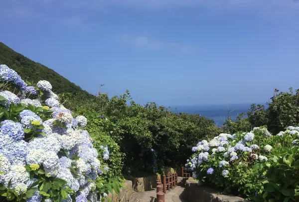 階段国道339号の写真・動画_image_145067