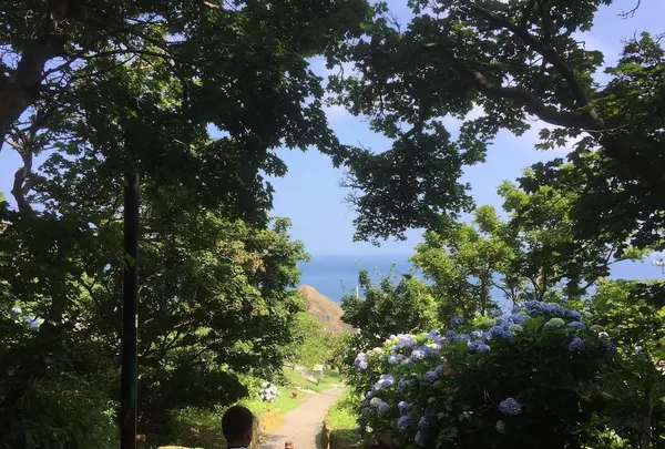 階段国道339号の写真・動画_image_145068