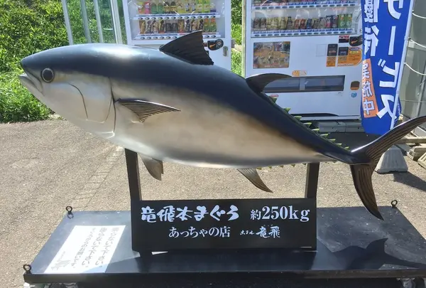 龍飛崎の写真・動画_image_145075