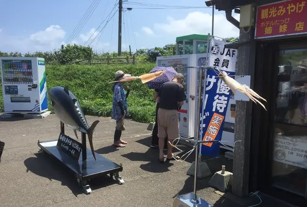 龍飛崎の写真・動画_image_145076