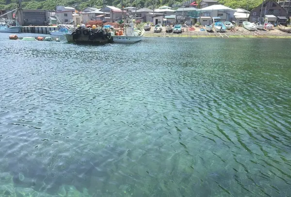弁財天宮の写真・動画_image_145078
