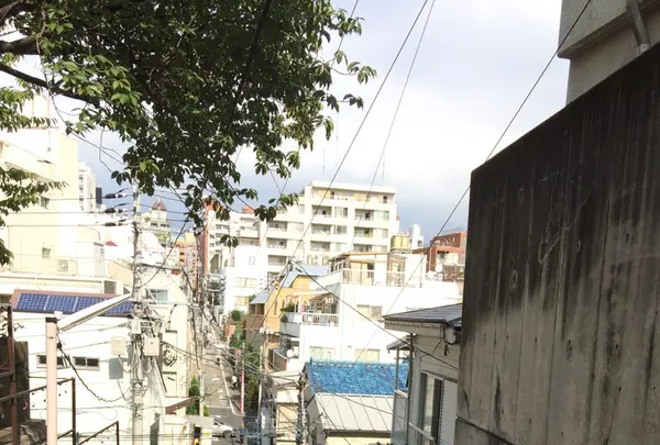 須賀神社の写真・動画_image_145113