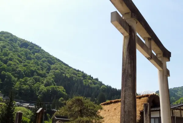 白山宮の写真・動画_image_145215
