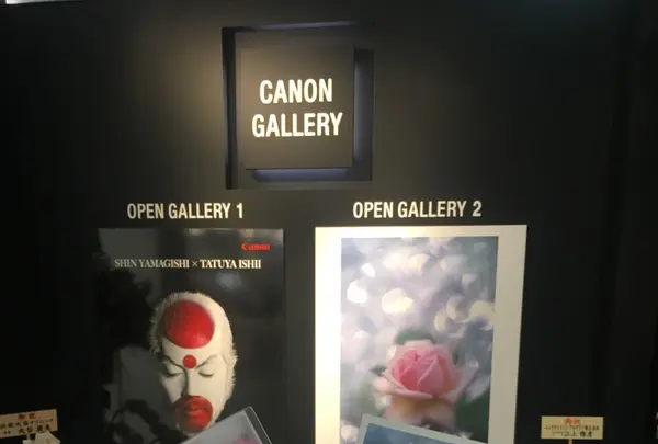 キヤノンサロンSの写真・動画_image_145249